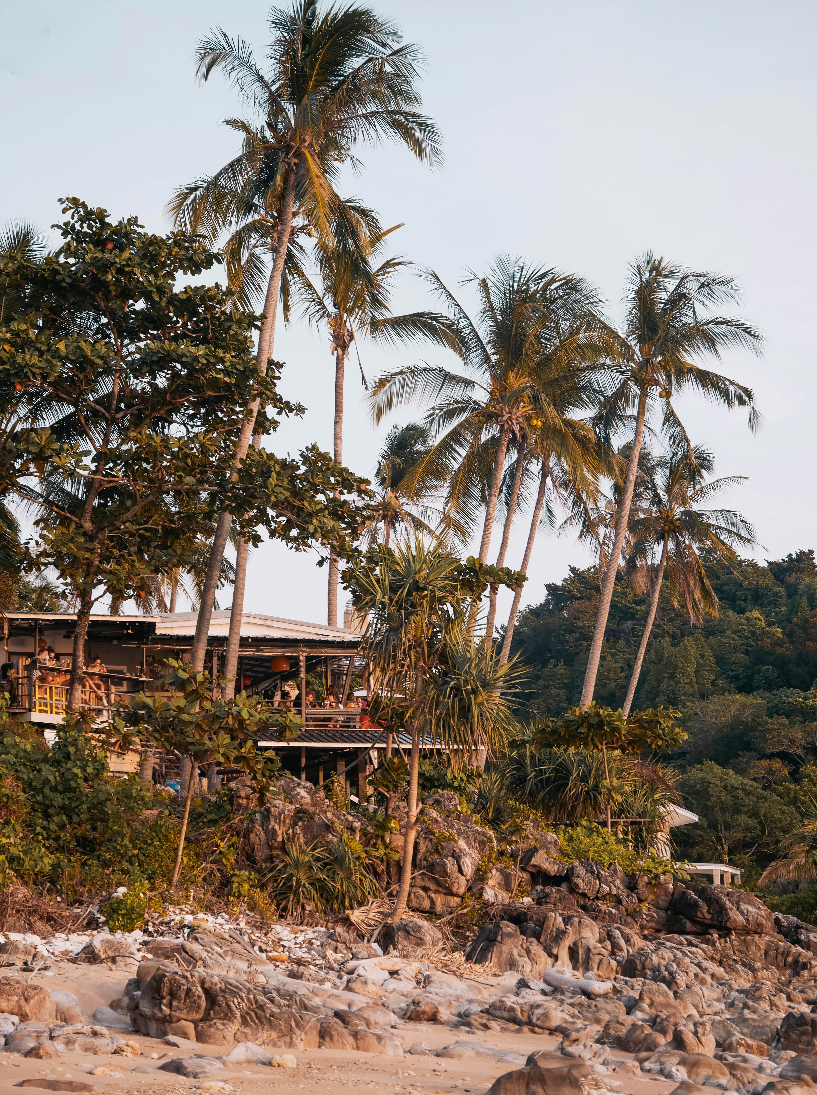 Palmy i kameralna restauracja przy plaży na Koh Lanta